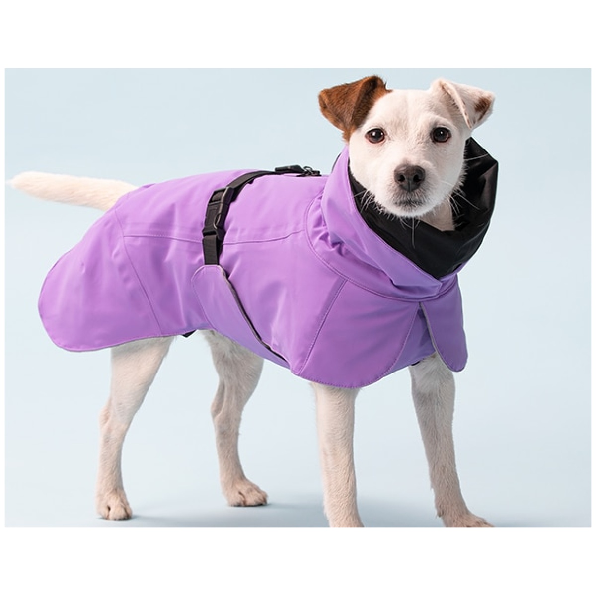 Paikka Recovery Winter jacket