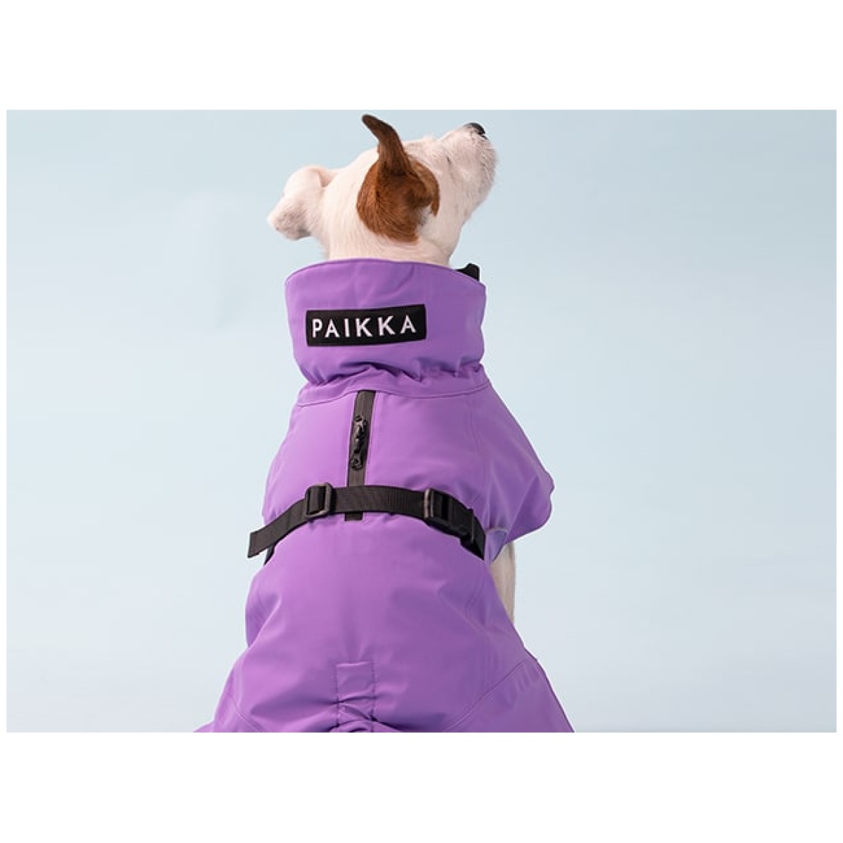 Paikka Recovery vinterfrakke, lilla - Billede 7