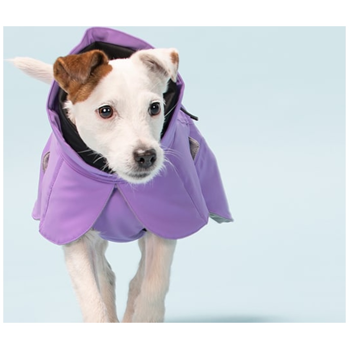 Paikka Recovery vinterfrakke, lilla - Billede 8