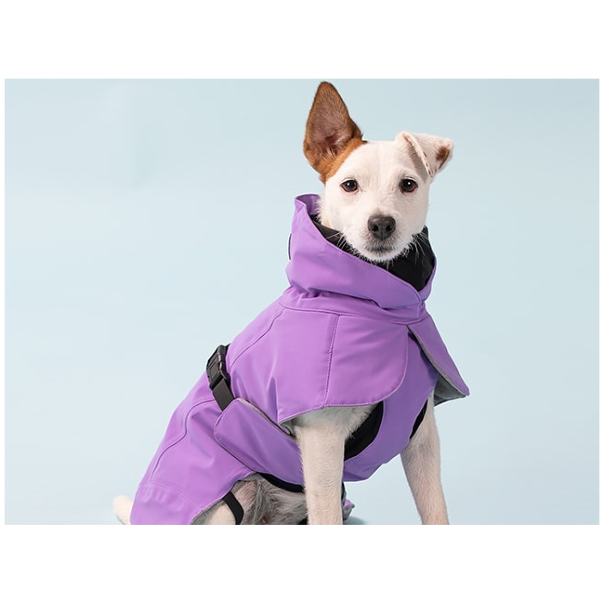 Paikka Recovery vinterfrakke, lilla - Billede 9