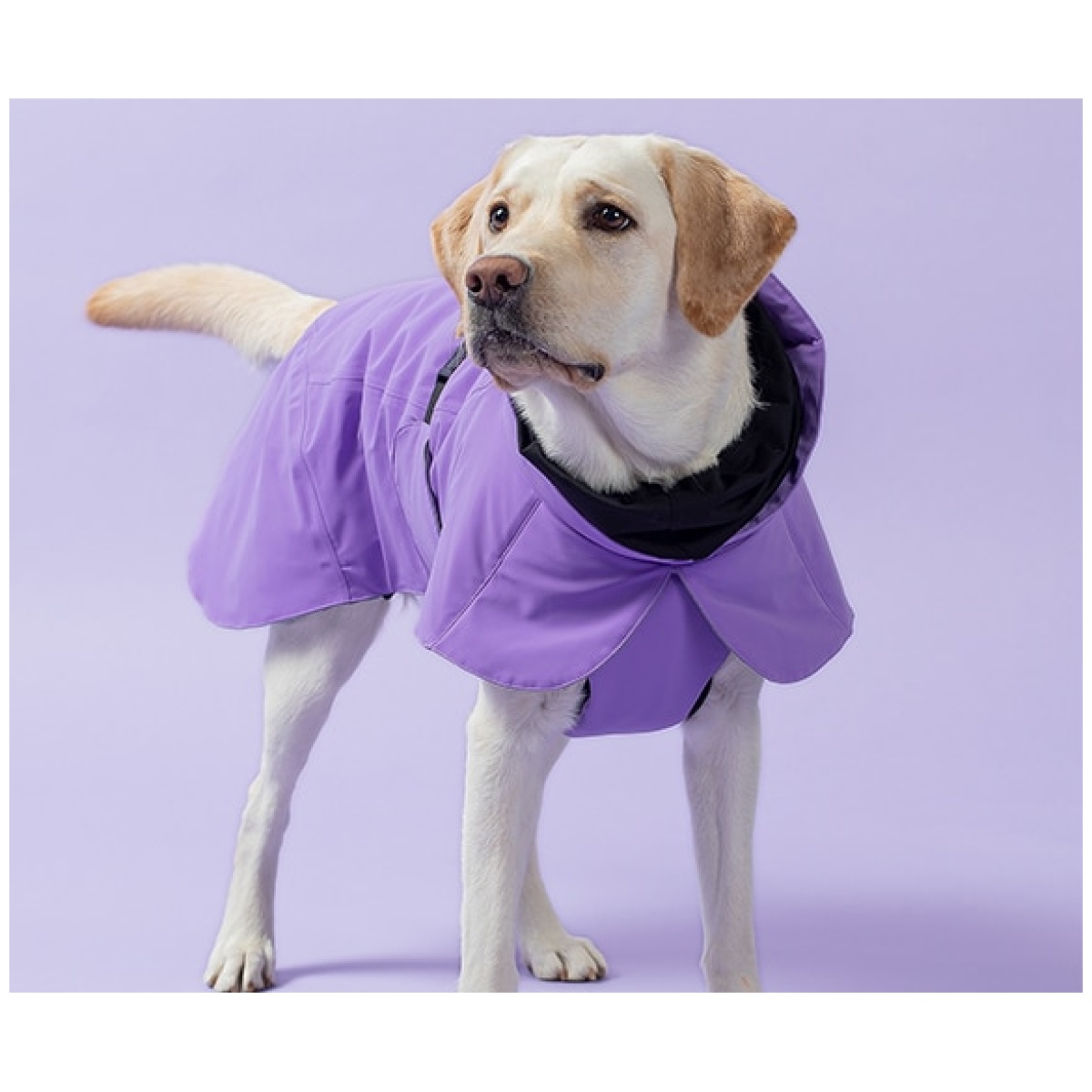 Paikka Recovery vinterfrakke, lilla - Billede 10