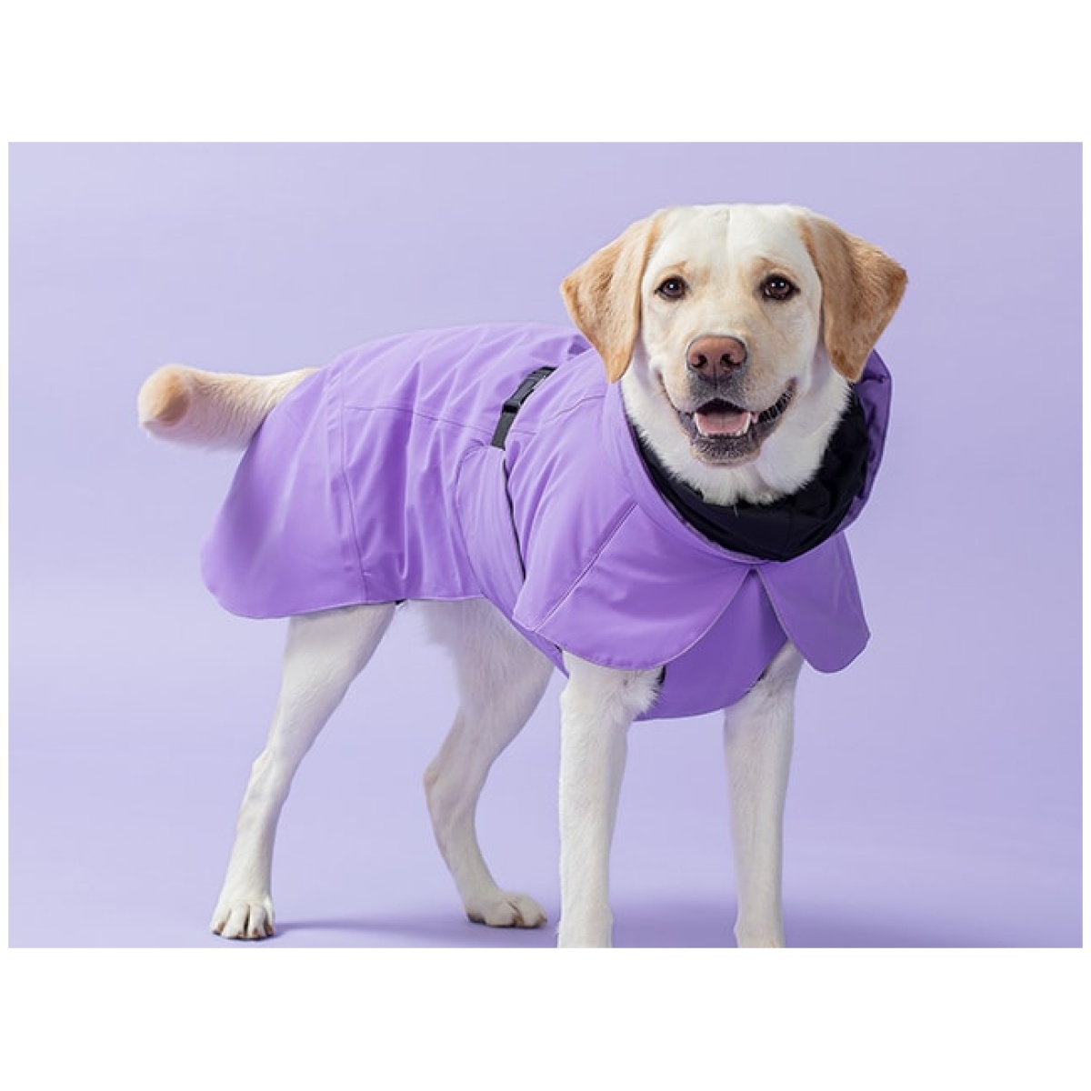 Paikka Recovery vinterfrakke, lilla - Billede 11