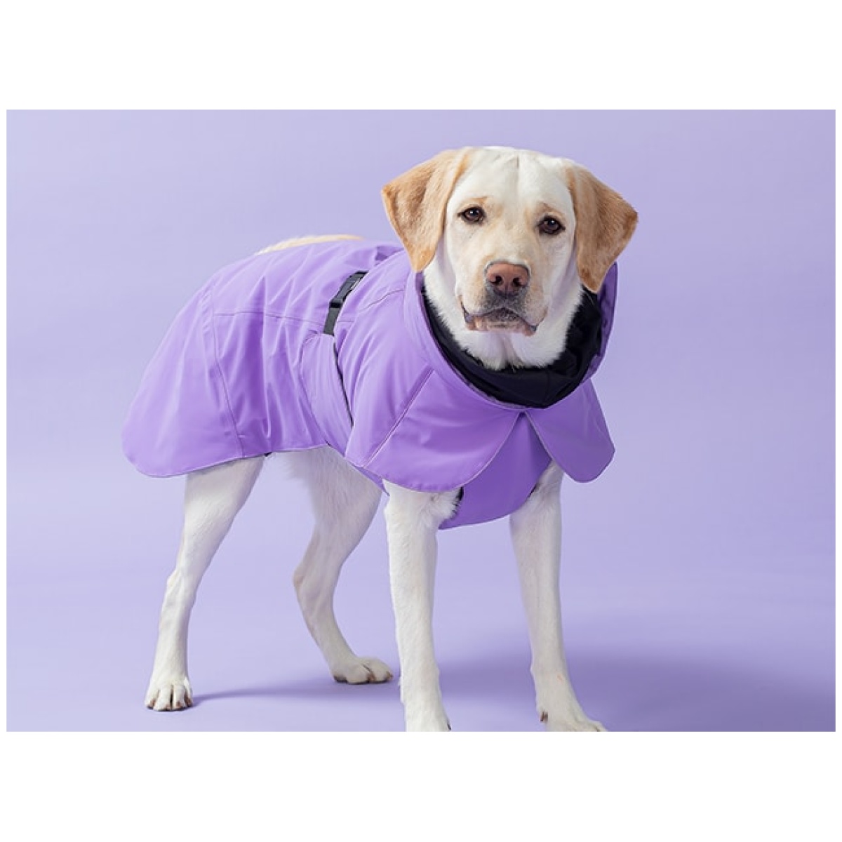 Paikka Recovery vinterfrakke, lilla - Billede 12