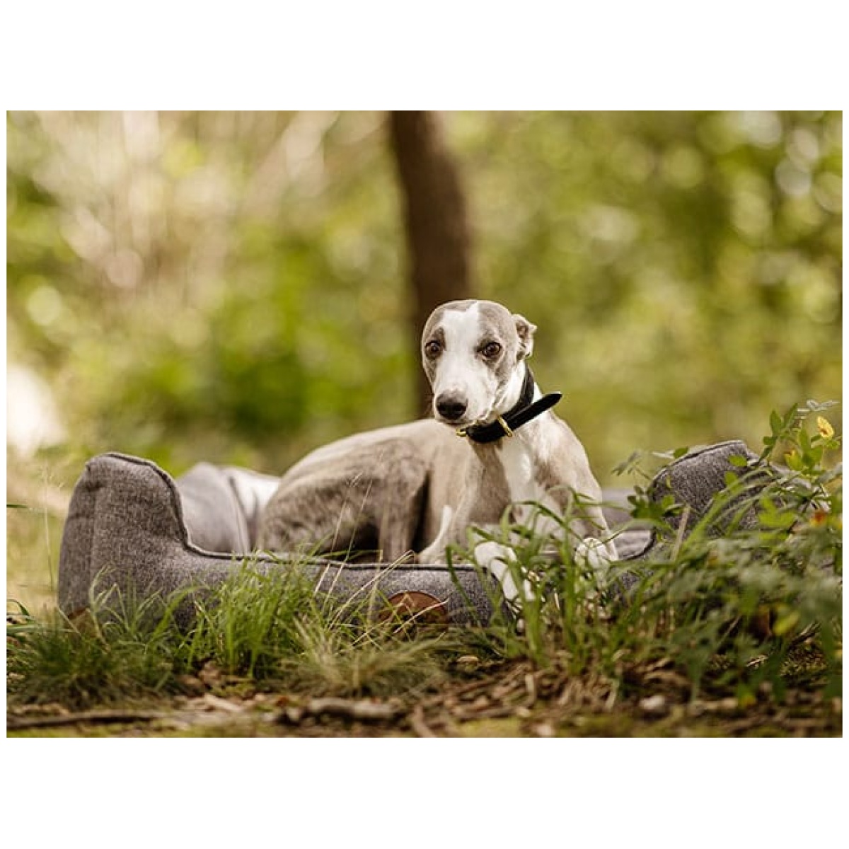 Swaggin Tails Sömnig Dog Bed, Space Grey - Image 9