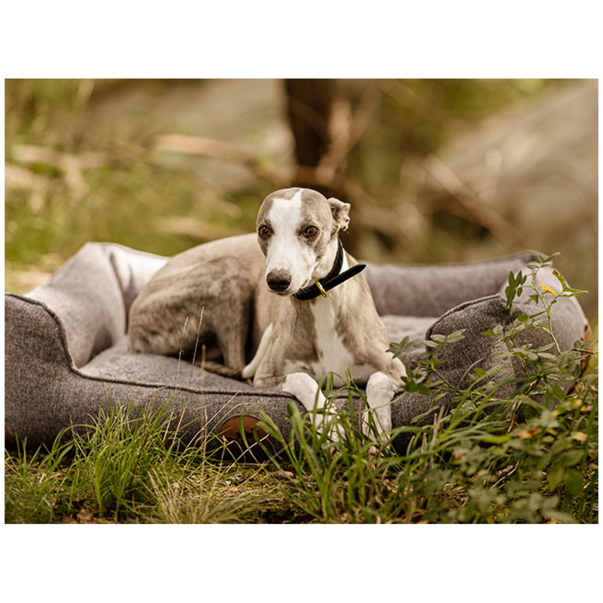 Swaggin Tails Sömnig Dog Bed, Space Grey - Image 8