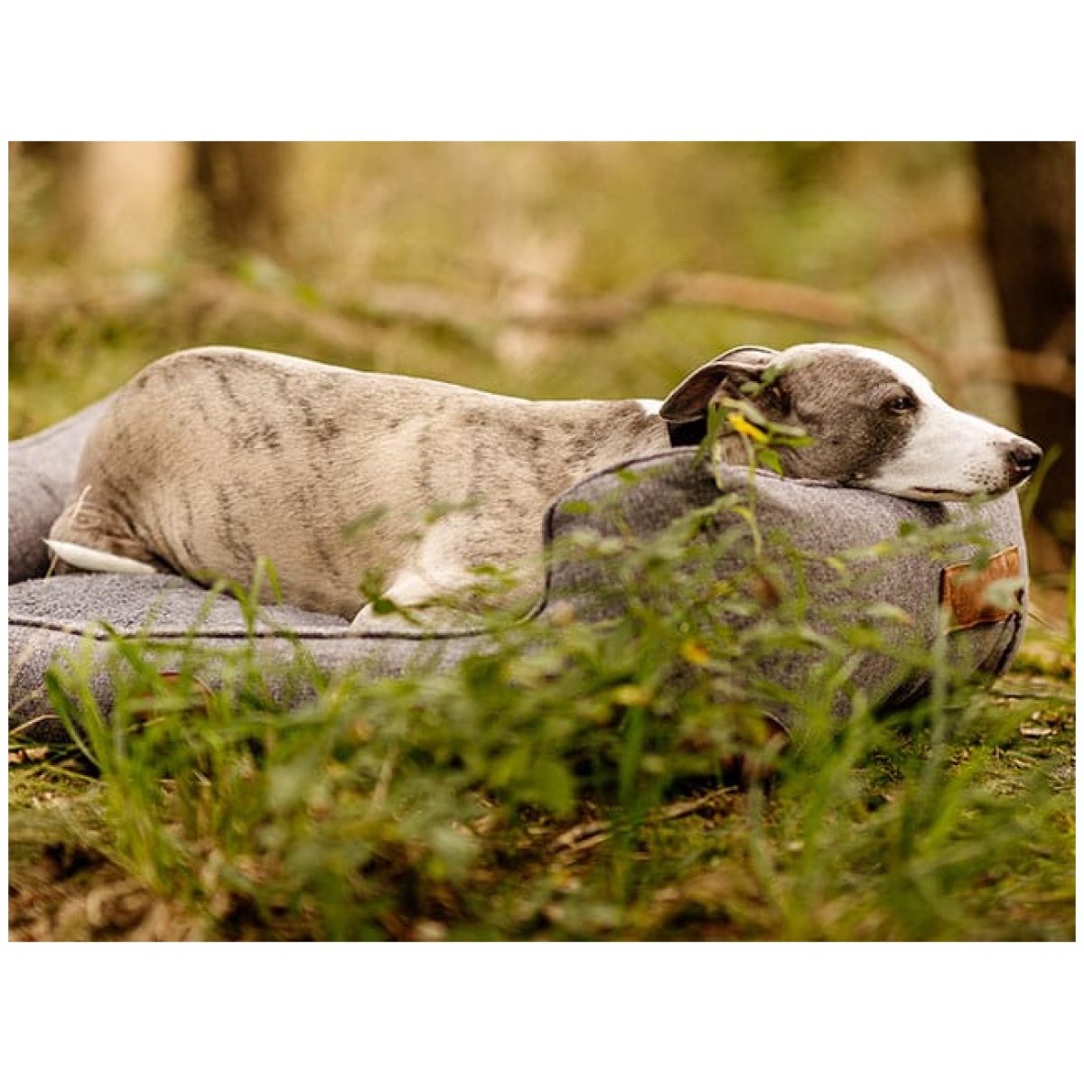 Swaggin Tails Sömnig Dog Bed, Space Grey - Image 7