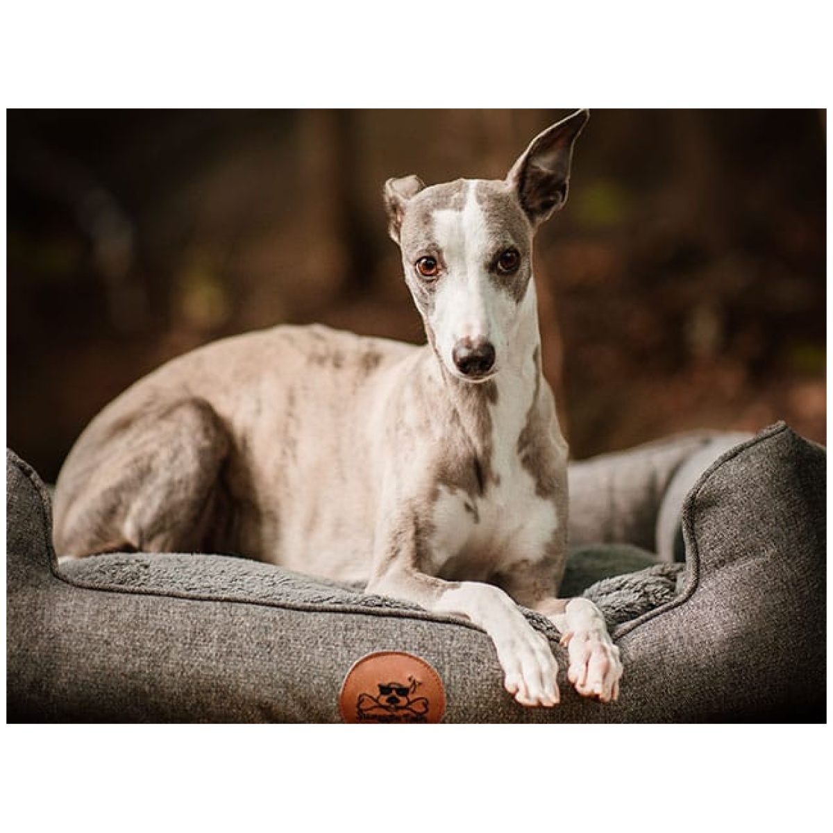 Swaggin Tail Sömnig hundeseng