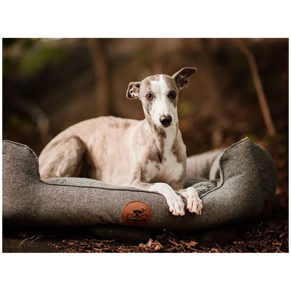 Swaggin Tails Sömnig Dog Bed, Space Grey - Image 12