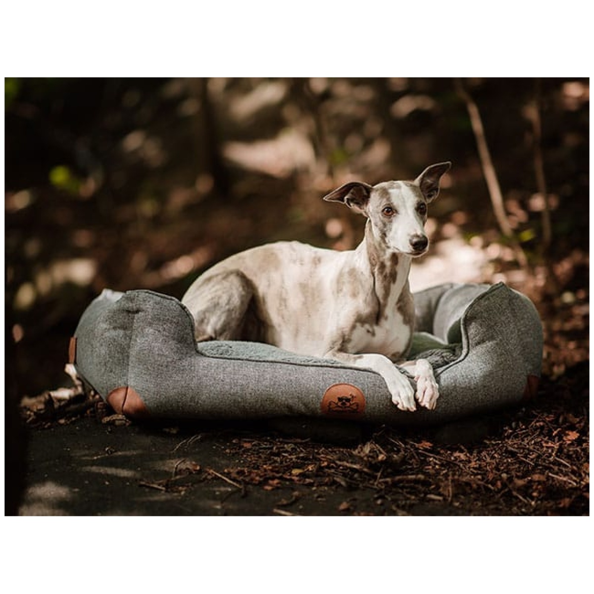 Swaggin Tails Sömnig Dog Bed, Space Grey - Image 11