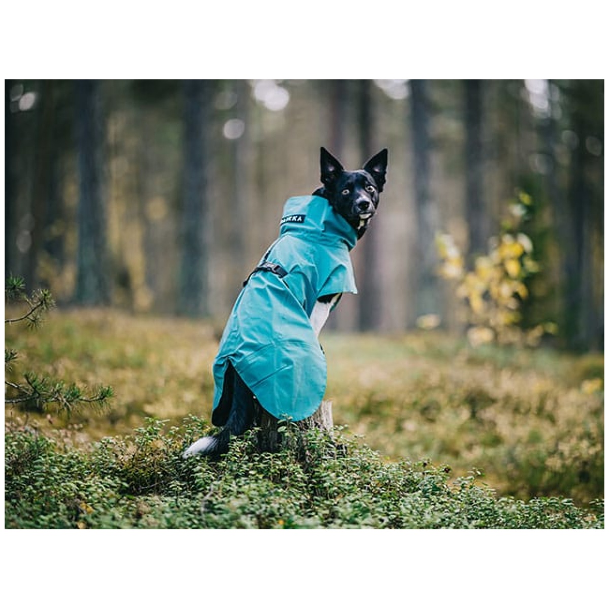 Paikka Visibility regnfrakke, Emerald - Billede 11