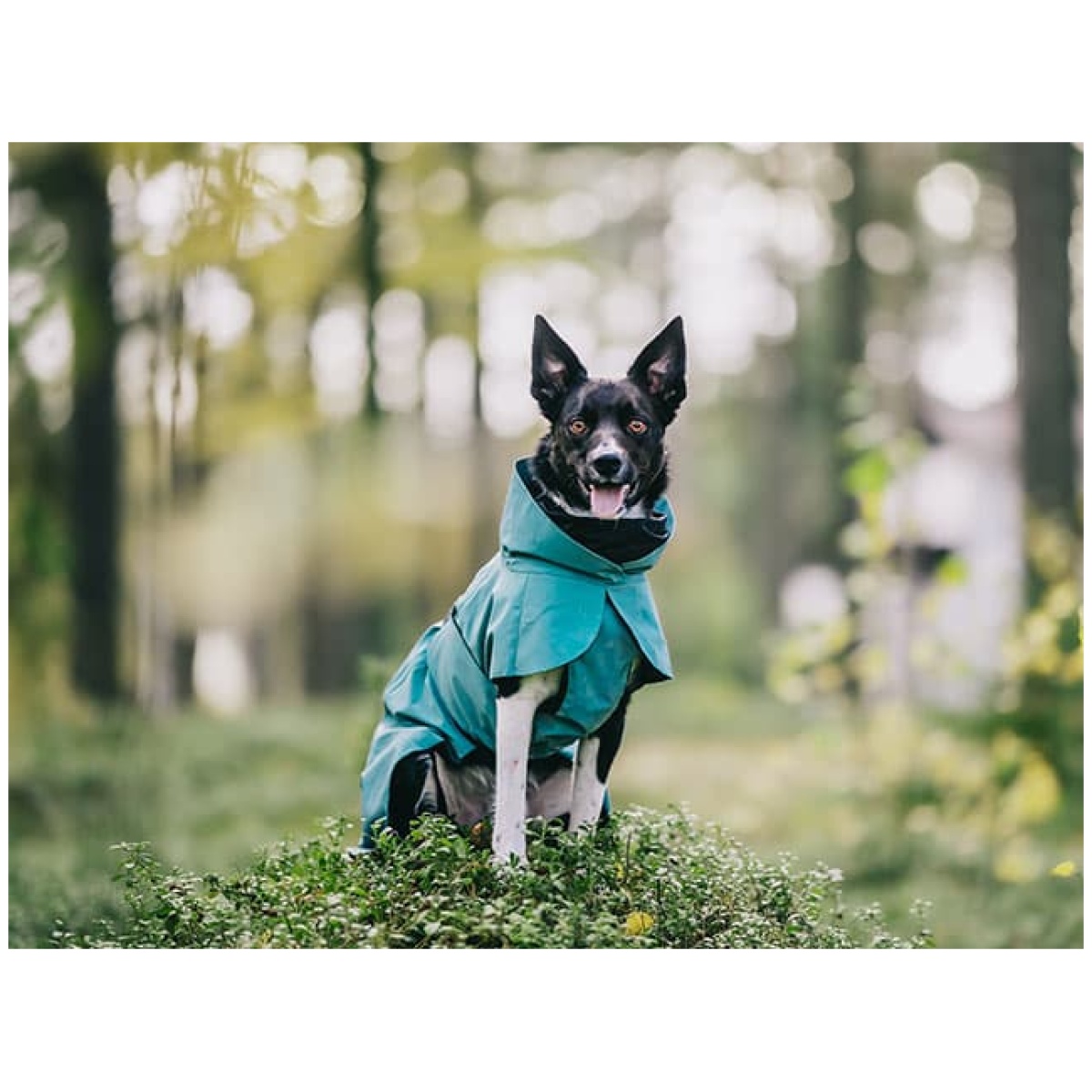 Paikka Visibility regnfrakke, Emerald - Billede 10
