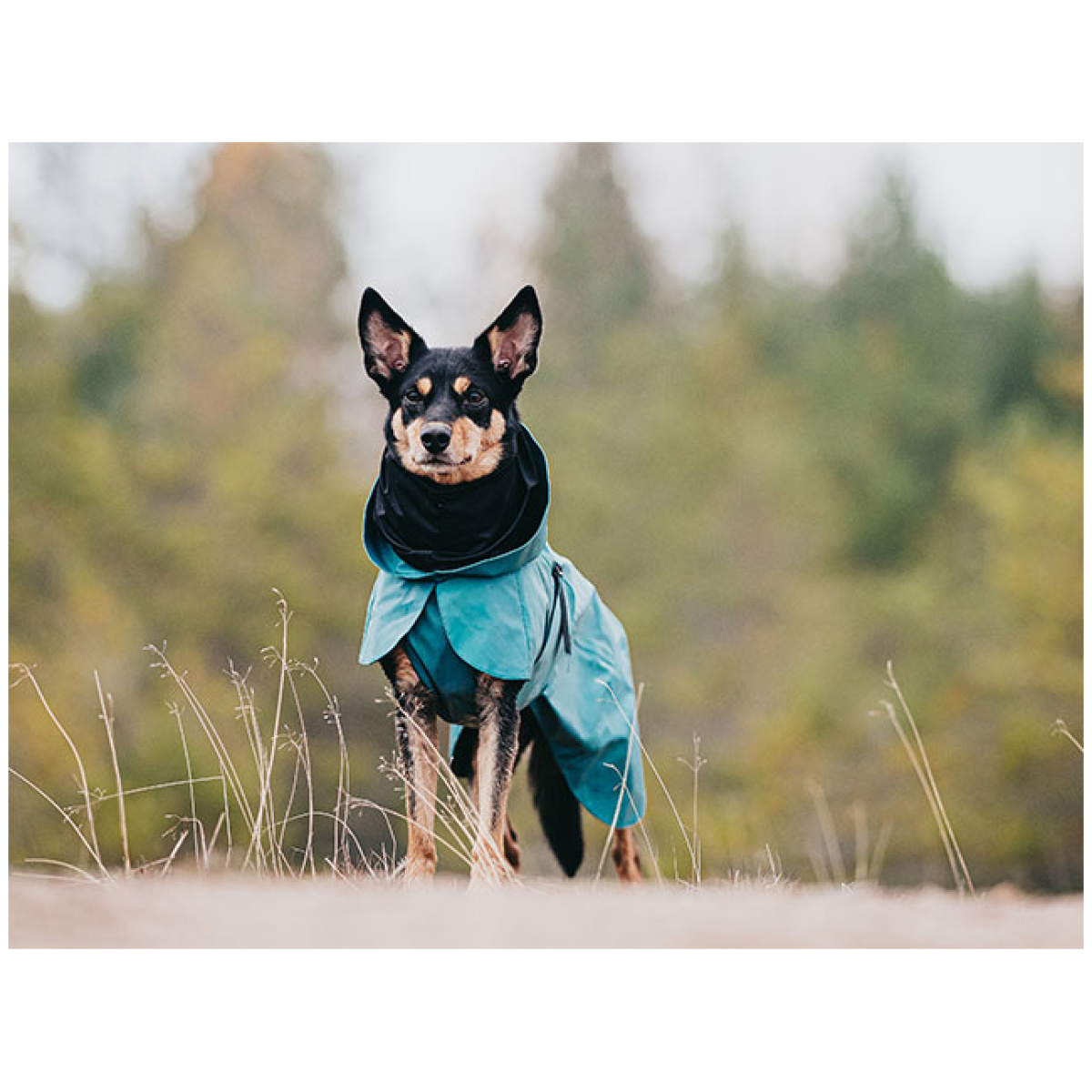 Paikka Visibility regnfrakke, Emerald - Billede 8