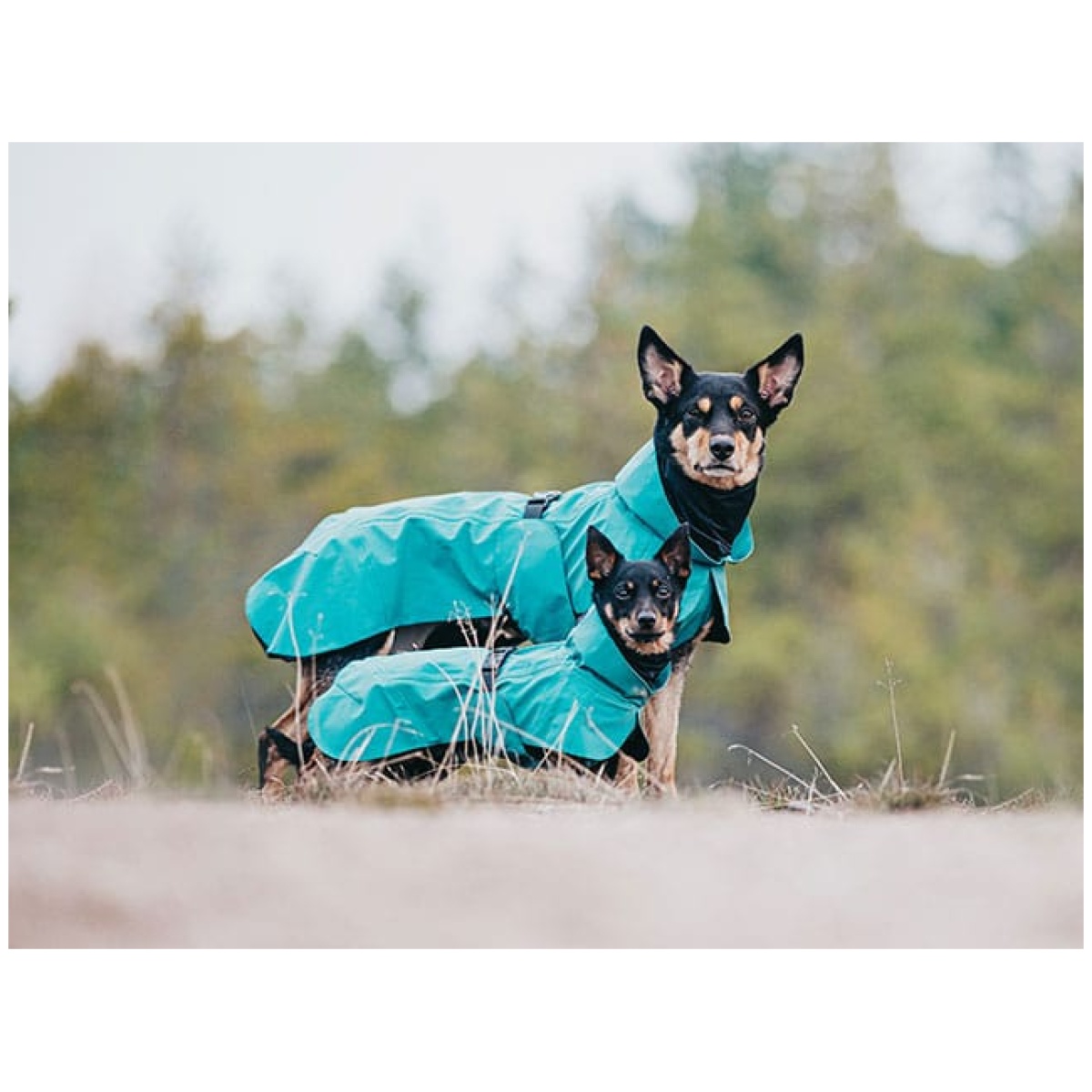 Paikka Visibility regnfrakke, Emerald - Billede 6