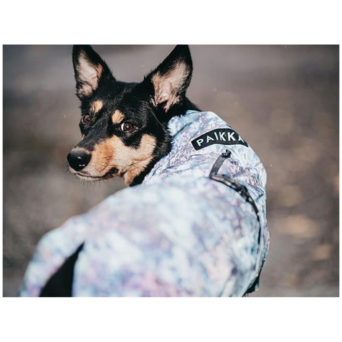 Paikka Visibility regnfrakke, Lite Petrol dye - Billede 9