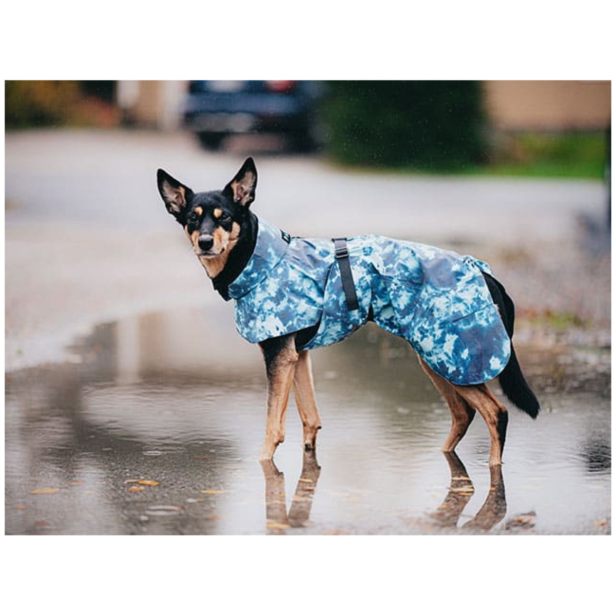 Paikka Visibility regnfrakke, Lite Petrol dye - Billede 7