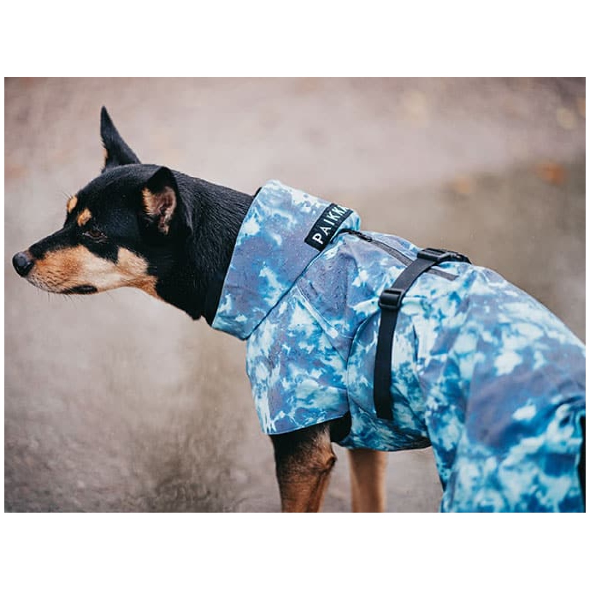 Paikka Visibility regnfrakke, Lite Petrol dye - Billede 8