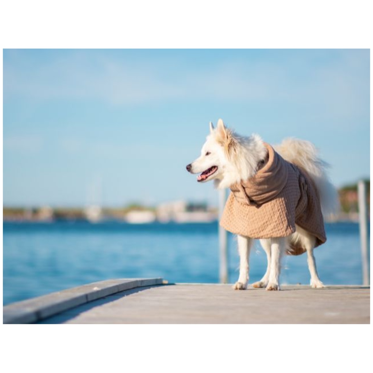 Paikka Tørredragt Spa, Taupe - Billede 6