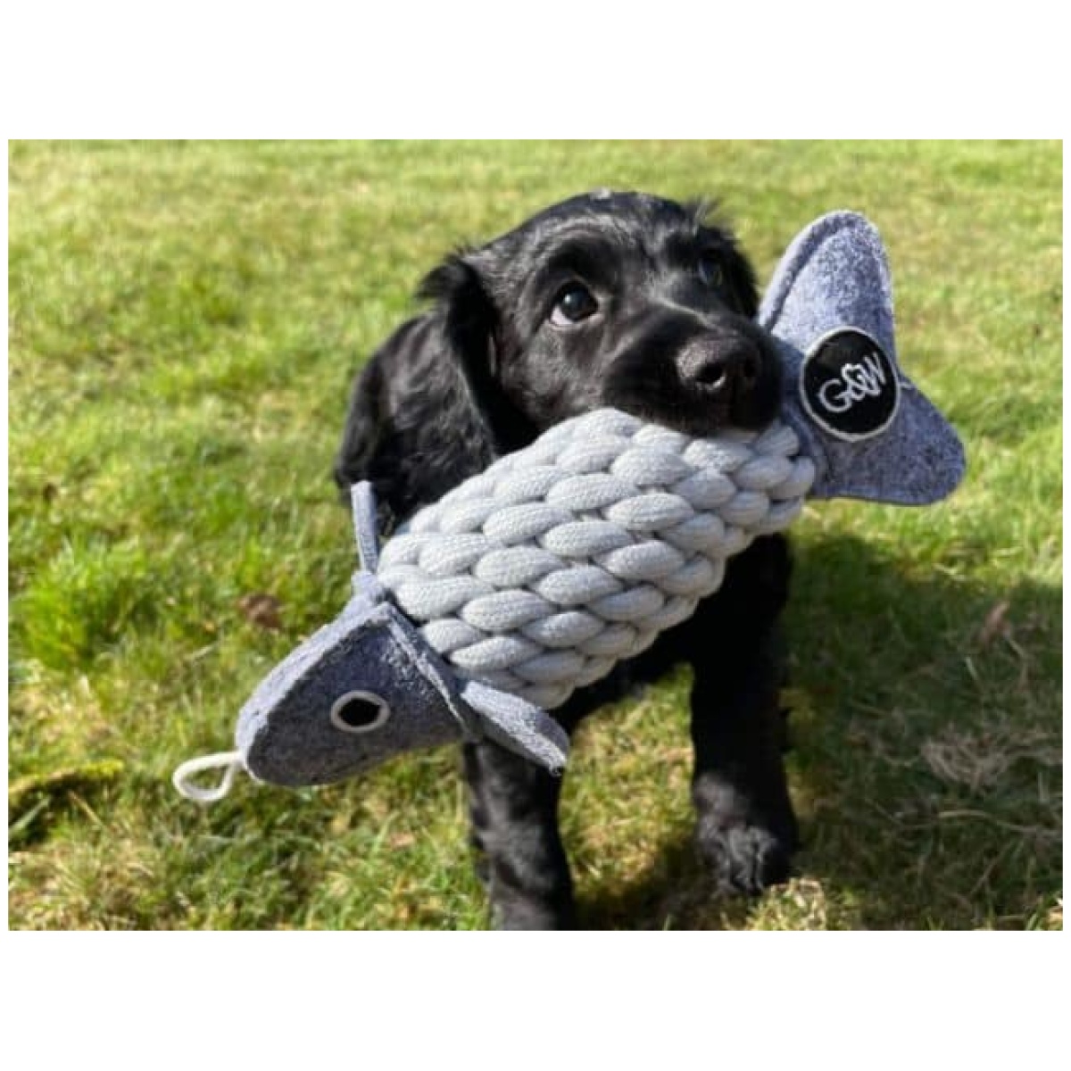 Green & Wilds Roger the Rope Fish - Billede 6