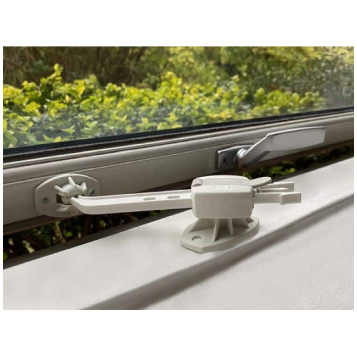 DogSpace Puppy Starter Kit - Image 6