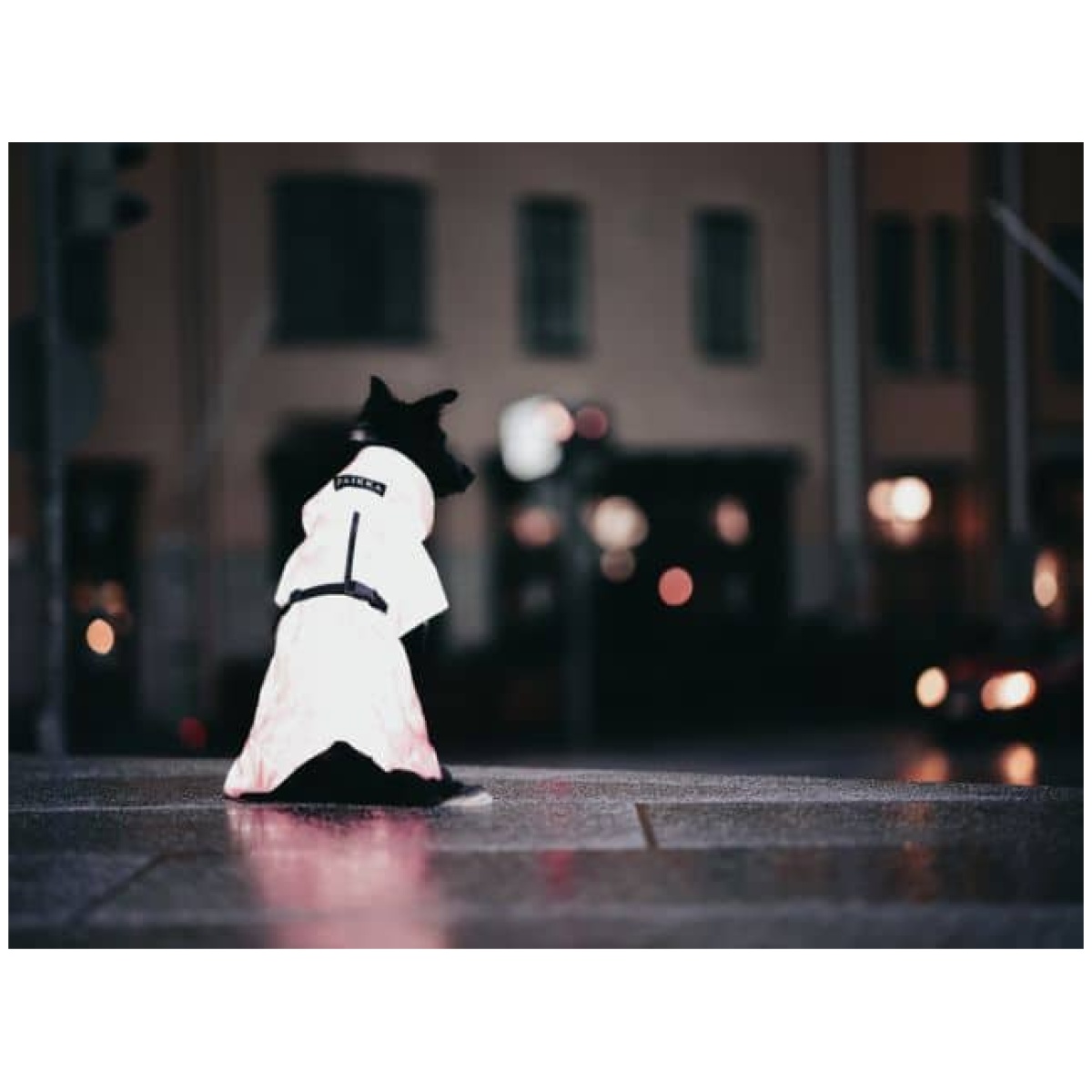 Paikka Visibility regnfrakke, pink - Billede 6