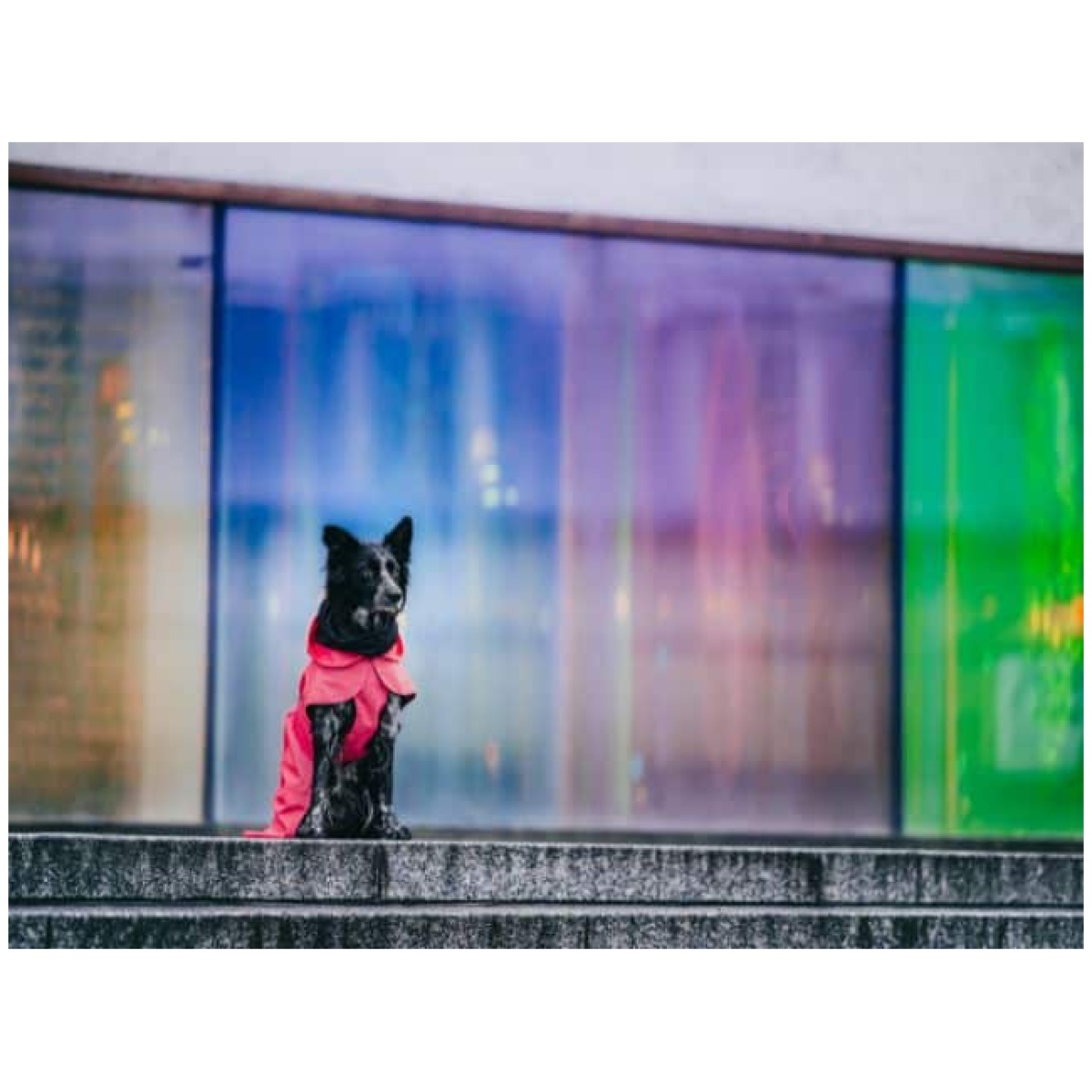 Paikka Visibility regnfrakke, pink - Billede 7