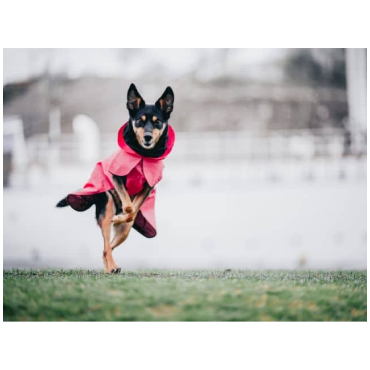 Paikka Visibility regnfrakke, pink - Billede 9