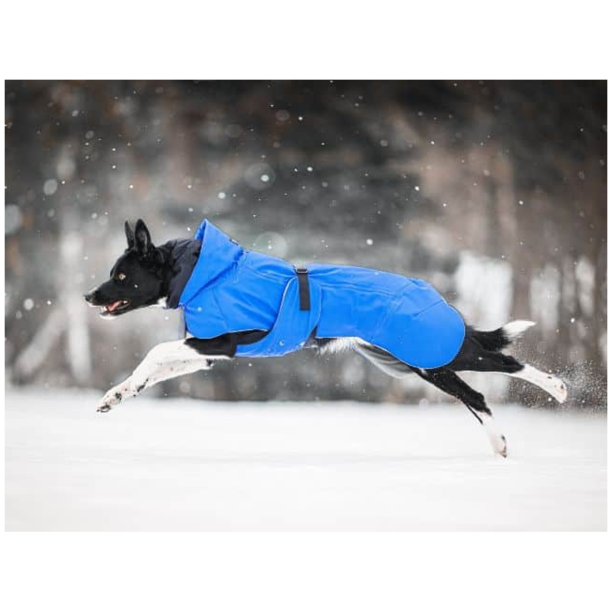 Paikka Recovery vinterfrakke, indigo - Billede 8