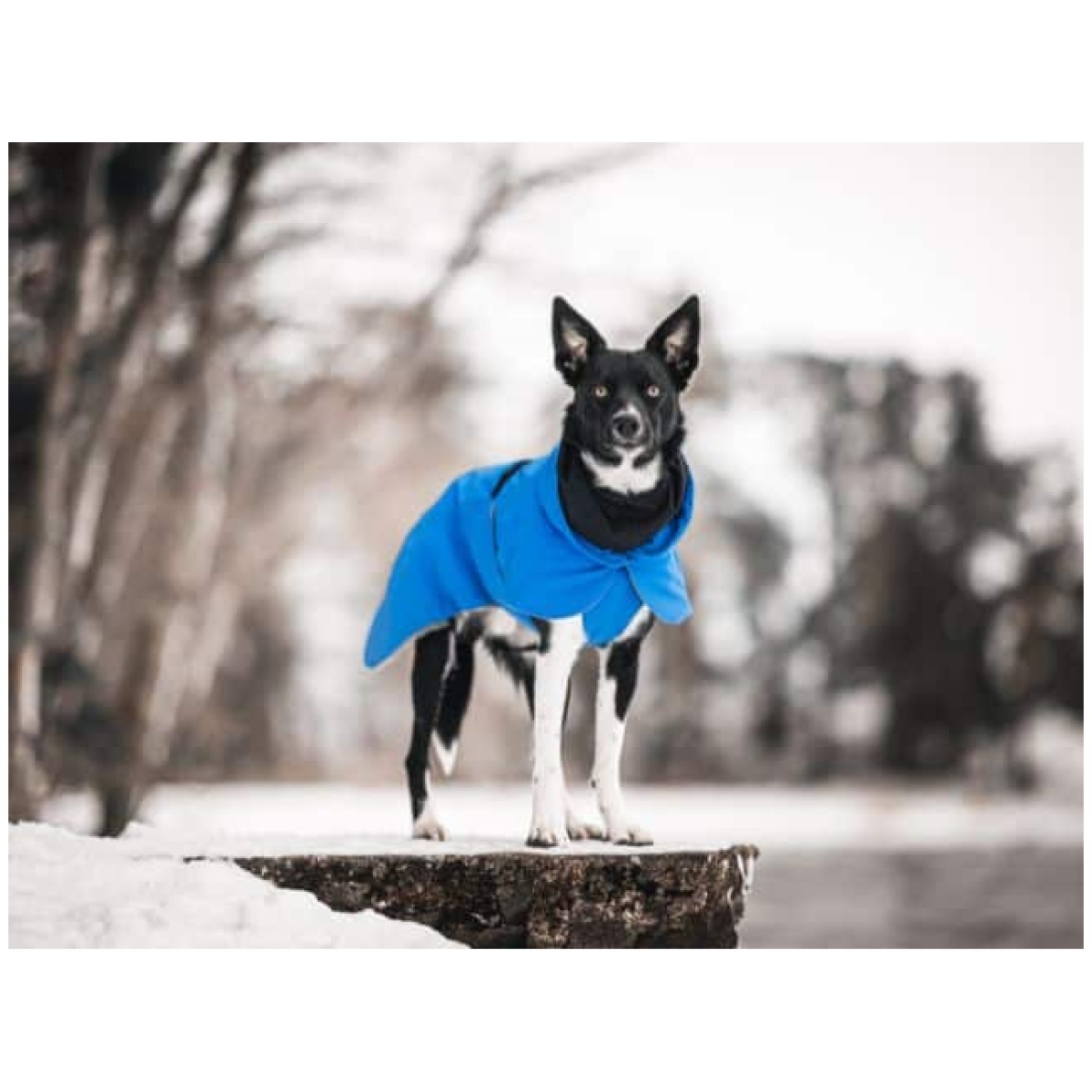 Paikka Recovery vinterfrakke, indigo - Billede 9