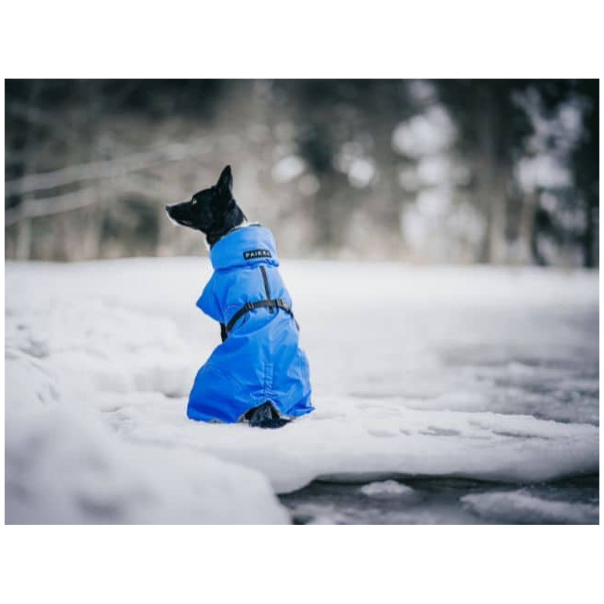 Paikka Recovery vinterfrakke, indigo - Billede 10