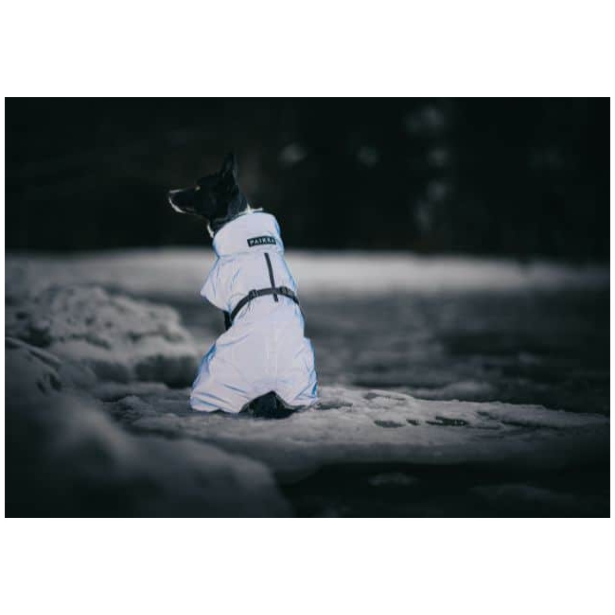 Paikka Recovery vinterfrakke, indigo - Billede 11