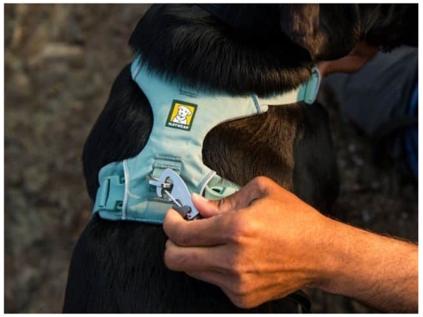 Ruffwear Front Range Sele, River Rock Green