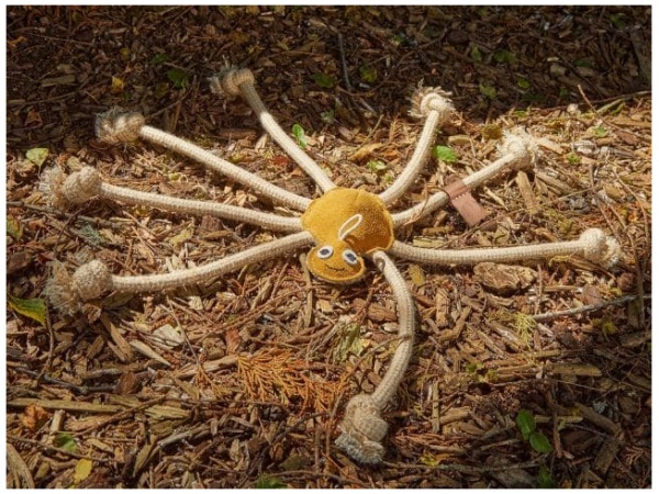 Green & Wilds Lily Longlegs