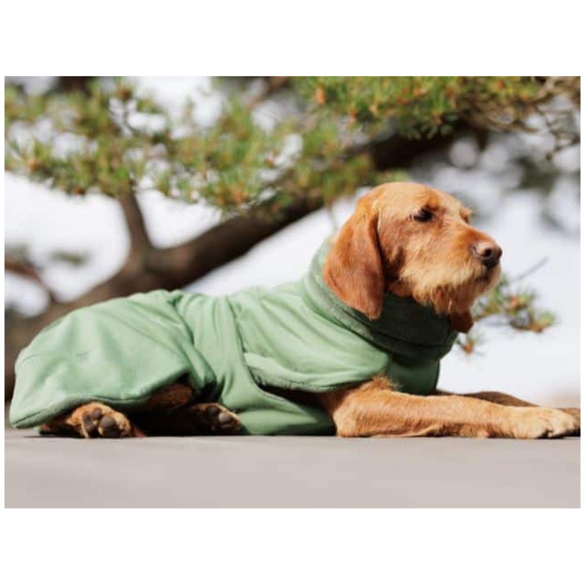 Paikka Tørredragt 2Go, Olive - Billede 11