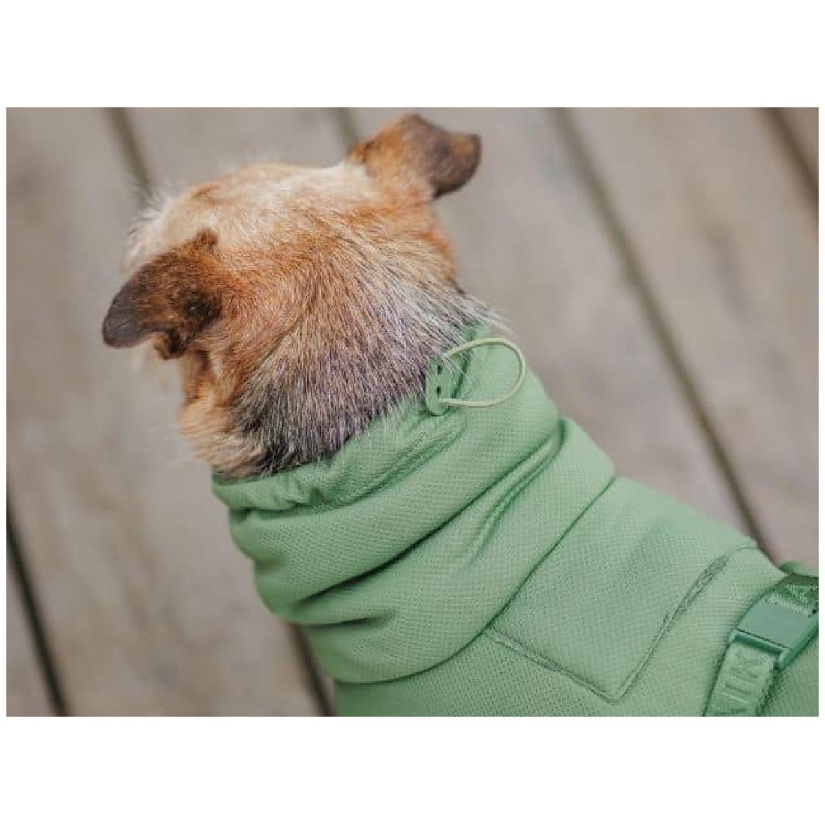 Paikka Tørredragt 2Go, Olive - Billede 9