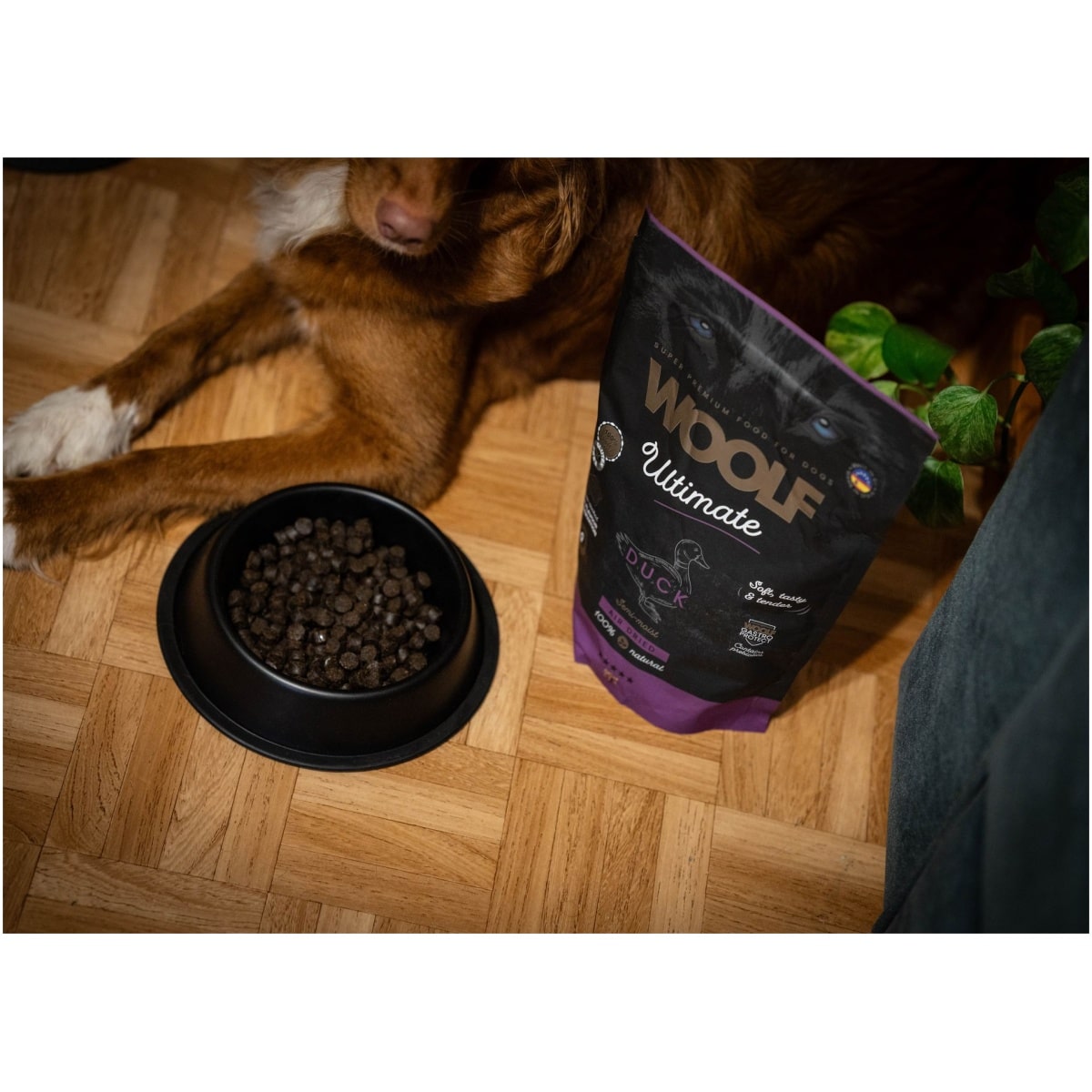 Woolf Ultimate, And 1kg - Image 7