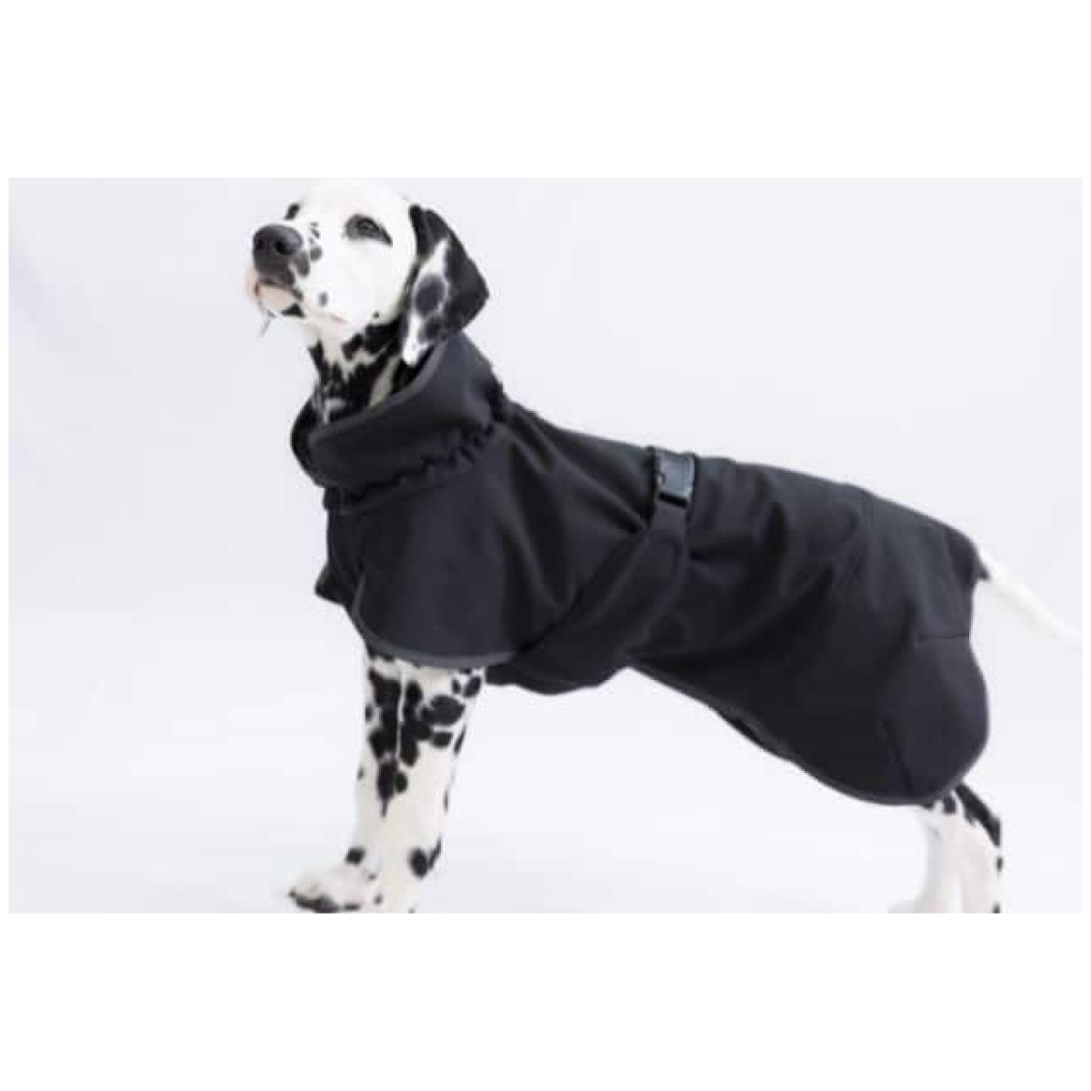 Paikka Recovery Softshell Jakke, sort - Billede 6