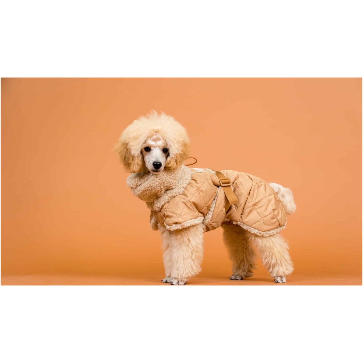 Giacca Sherpa trapuntata Paikka, Cammello - immagine 13