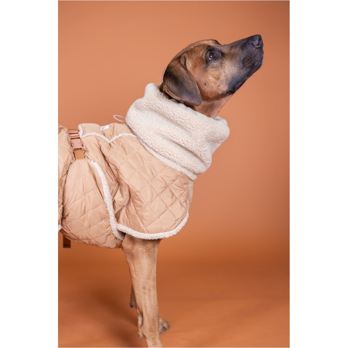 Paikka Quilted Sherpa Jakke, Camel - Billede 6