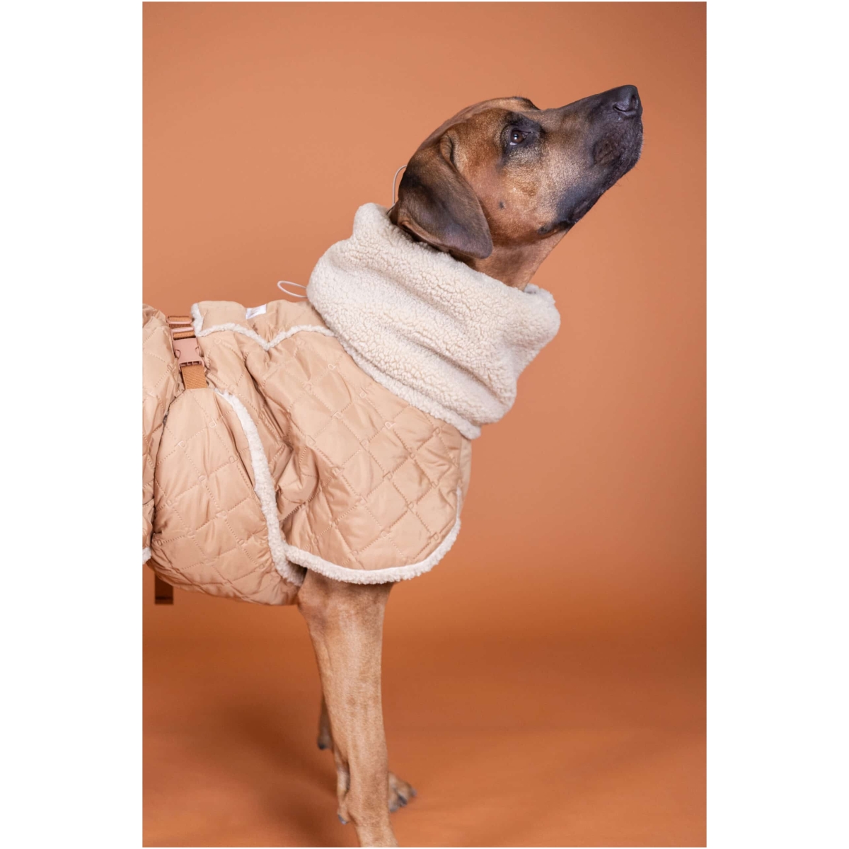 Giacca Sherpa trapuntata Paikka, Cammello - immagine 6