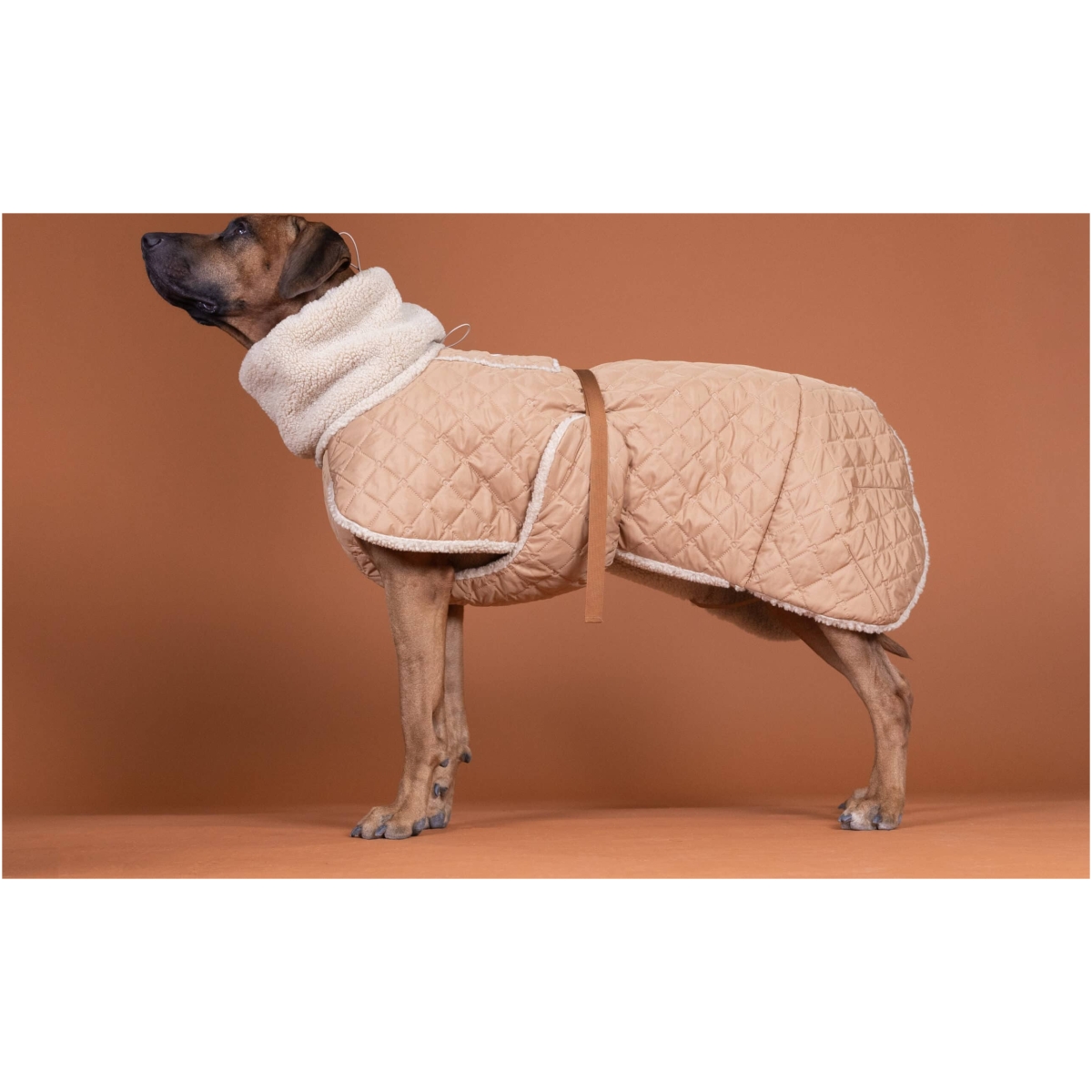 Giacca Sherpa trapuntata Paikka, Cammello - immagine 7