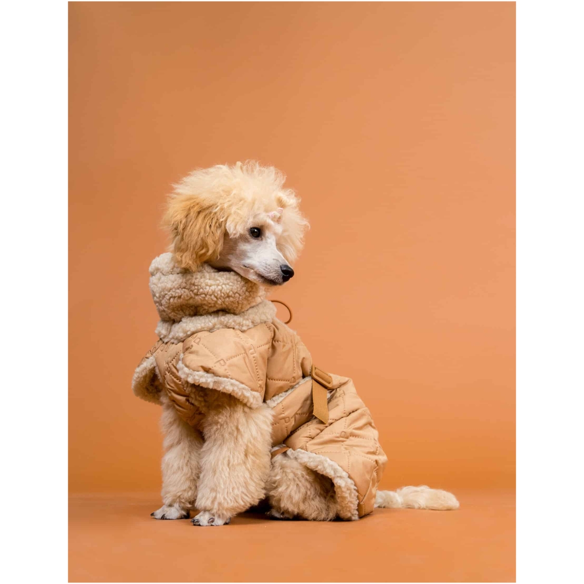 Giacca Sherpa trapuntata Paikka, Cammello - immagine 8