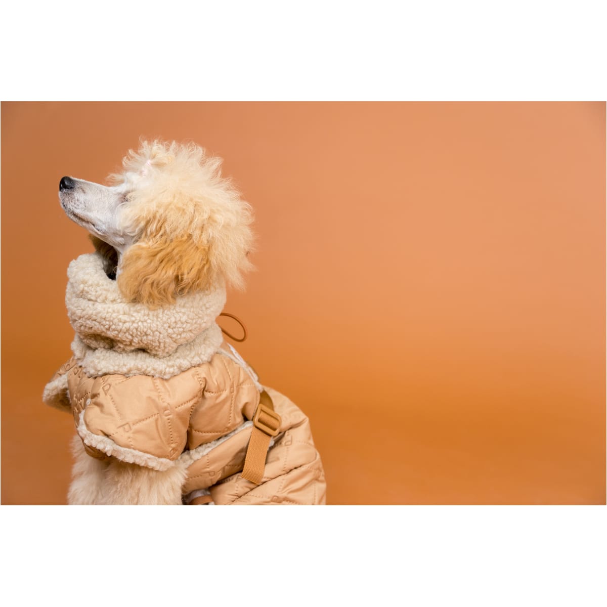 Paikka Quilted Sherpa Jakke, Camel - Billede 9