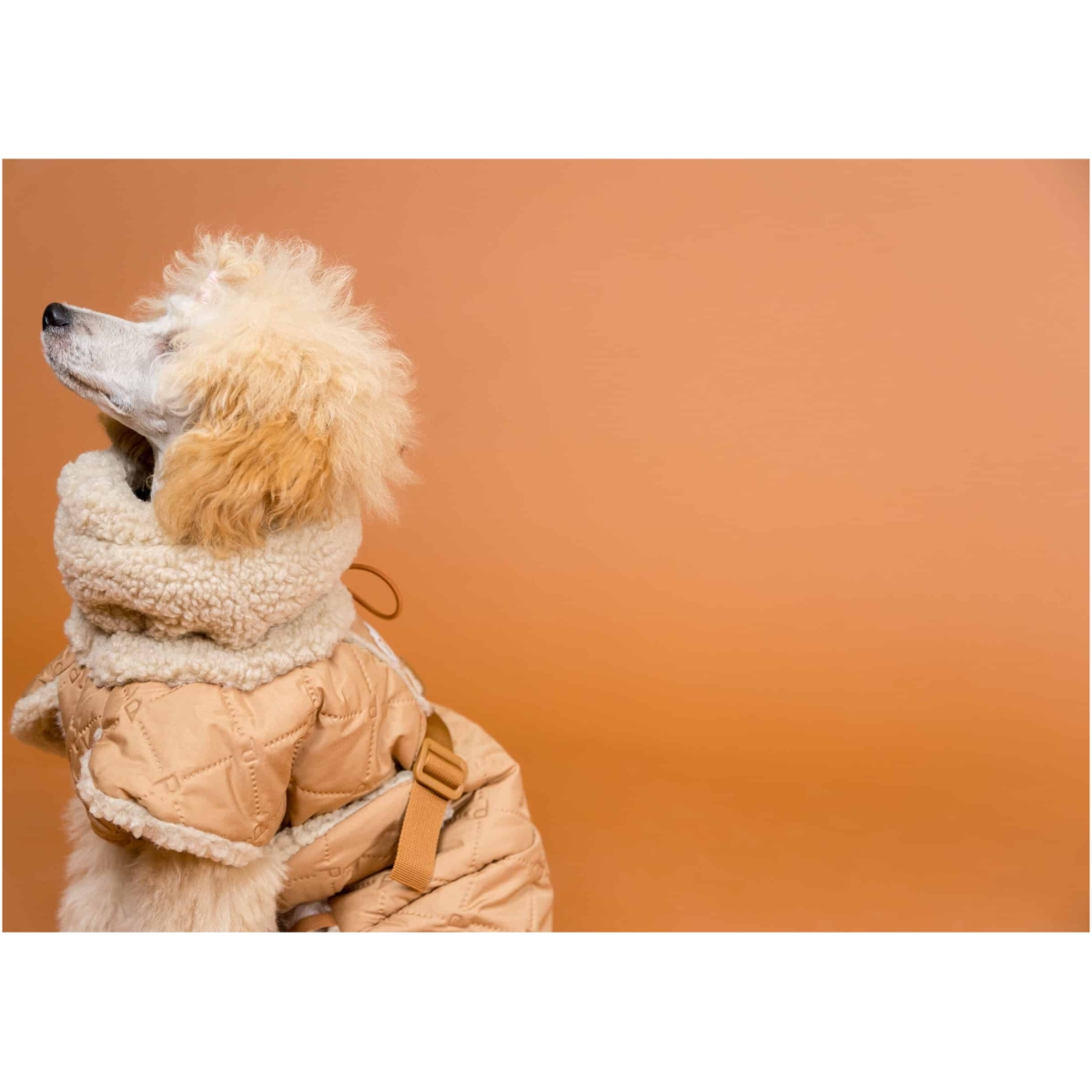 Giacca Sherpa trapuntata Paikka, Cammello - immagine 9