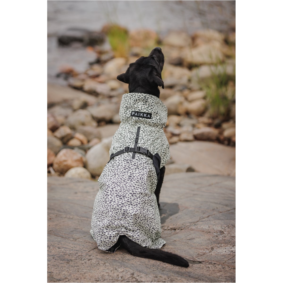 Paikka Regnfrakke 2.0 - Billede 12