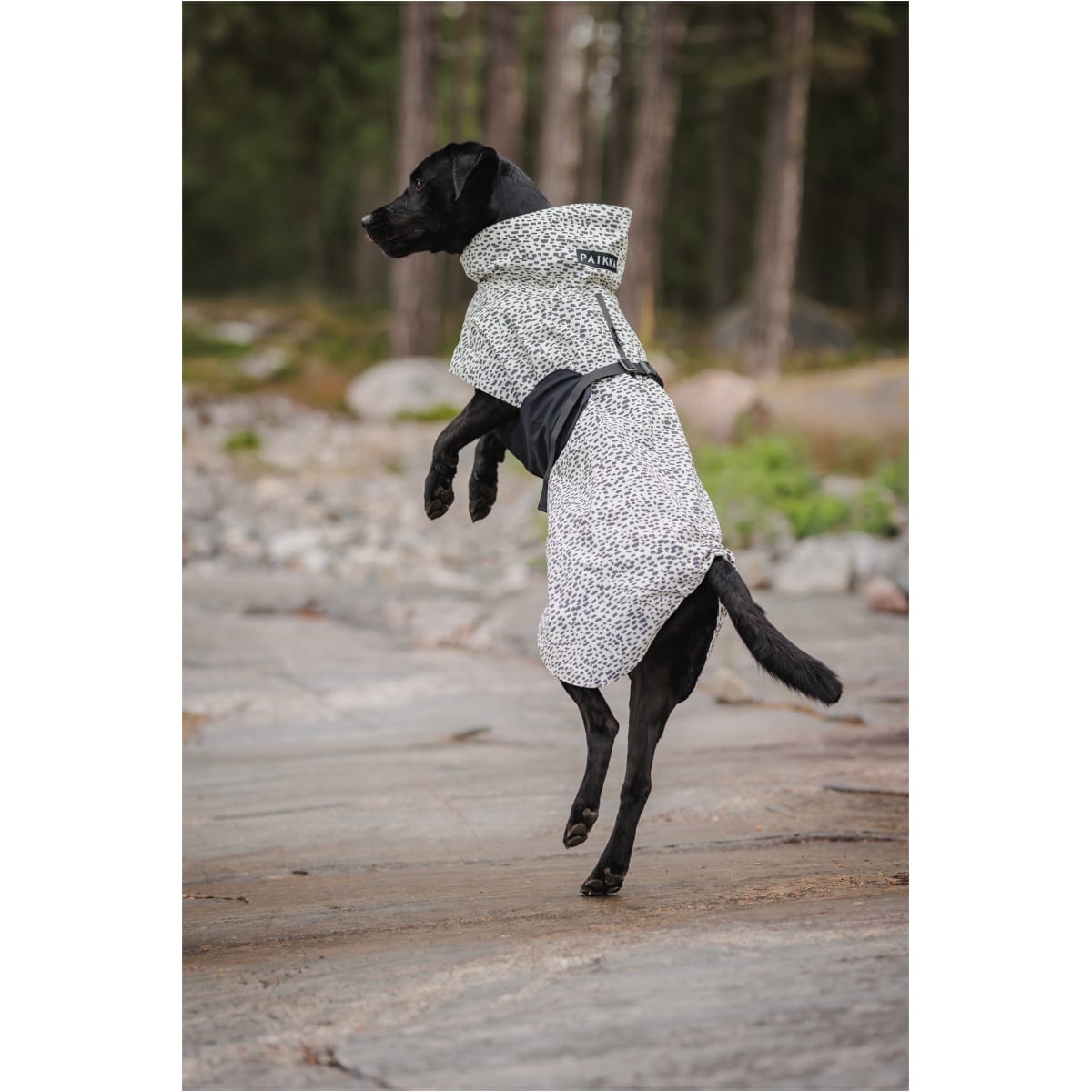 Paikka Regnfrakke 2.0 - Billede 11