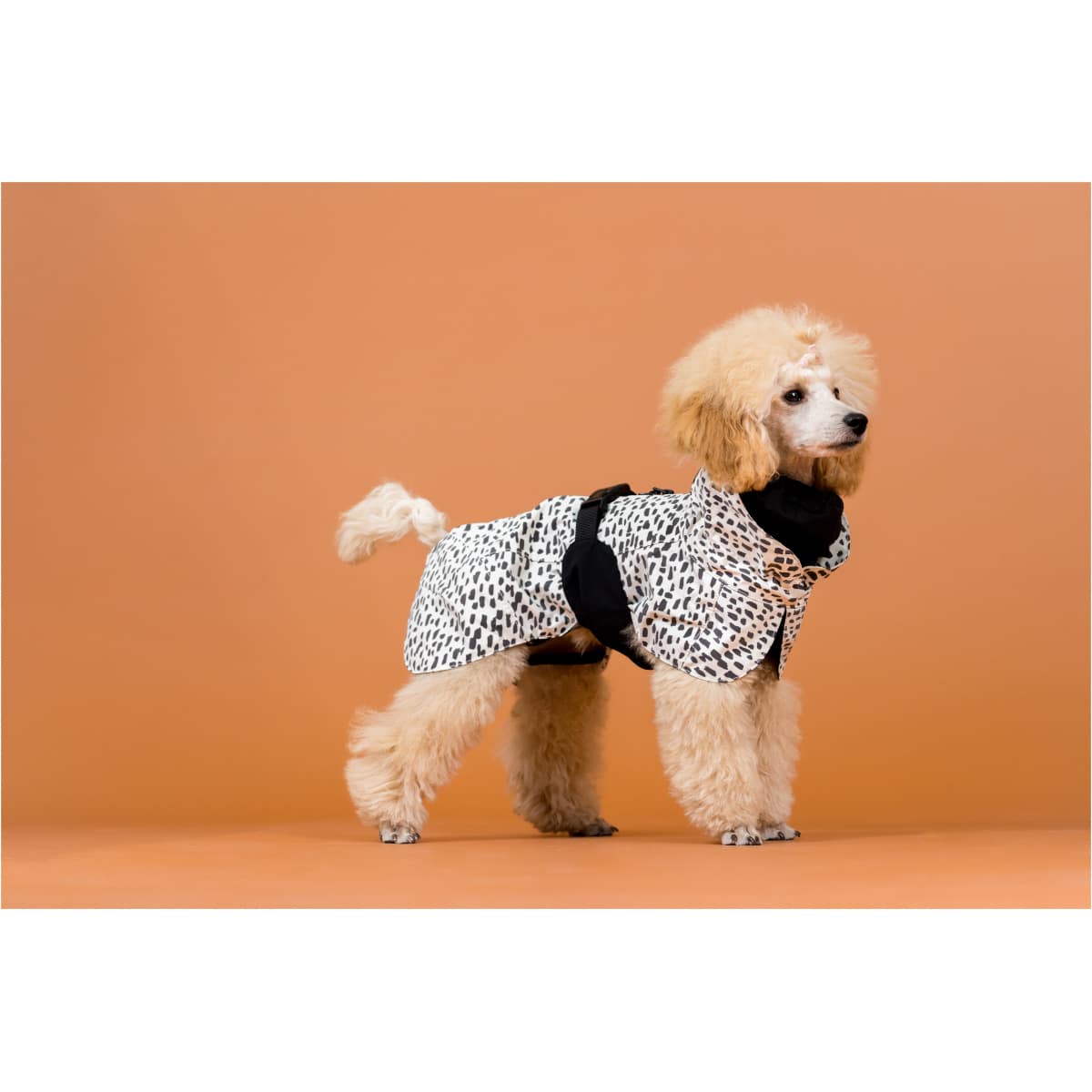 Paikka Regnfrakke 2.0 - Billede 6