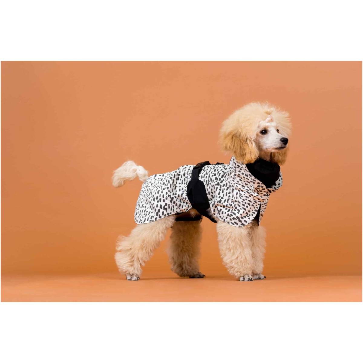 Paikka Regenmantel 2.0, 20 (Copy) – Bild 6