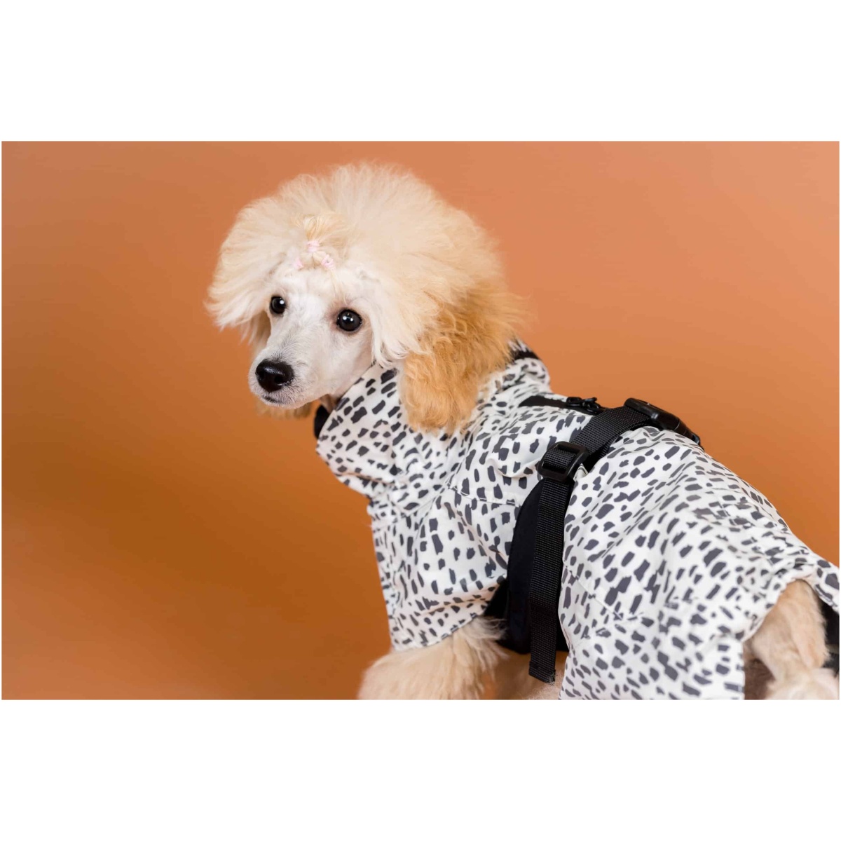 Paikka Regenmantel 2.0, 20 (Copy) – Bild 7