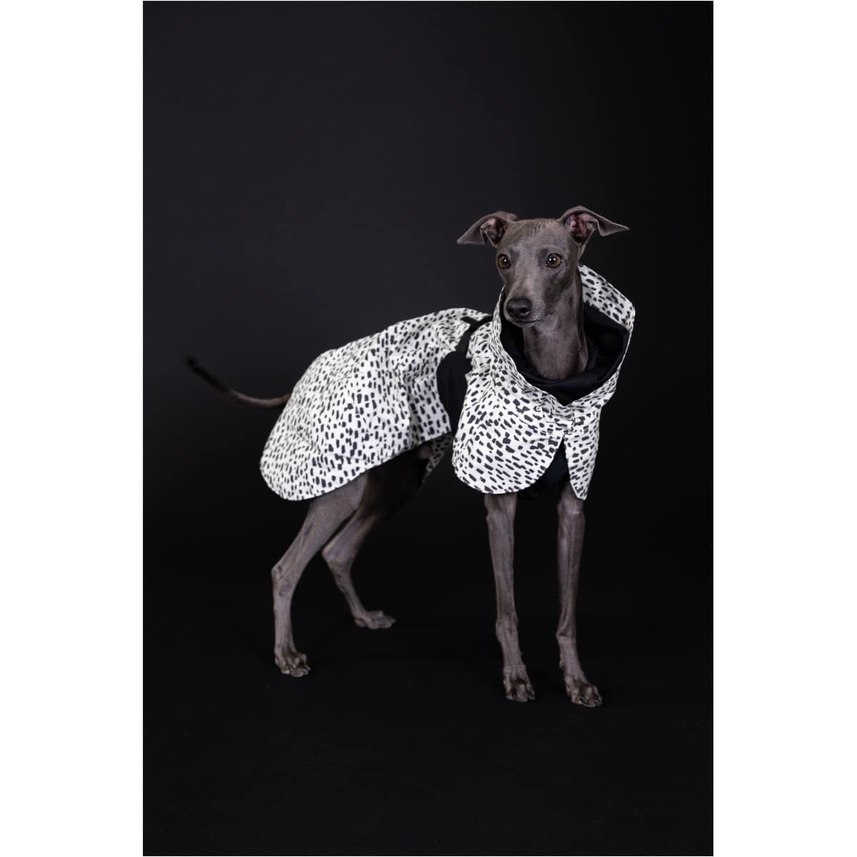 Paikka Regnfrakke 2.0 - Billede 8