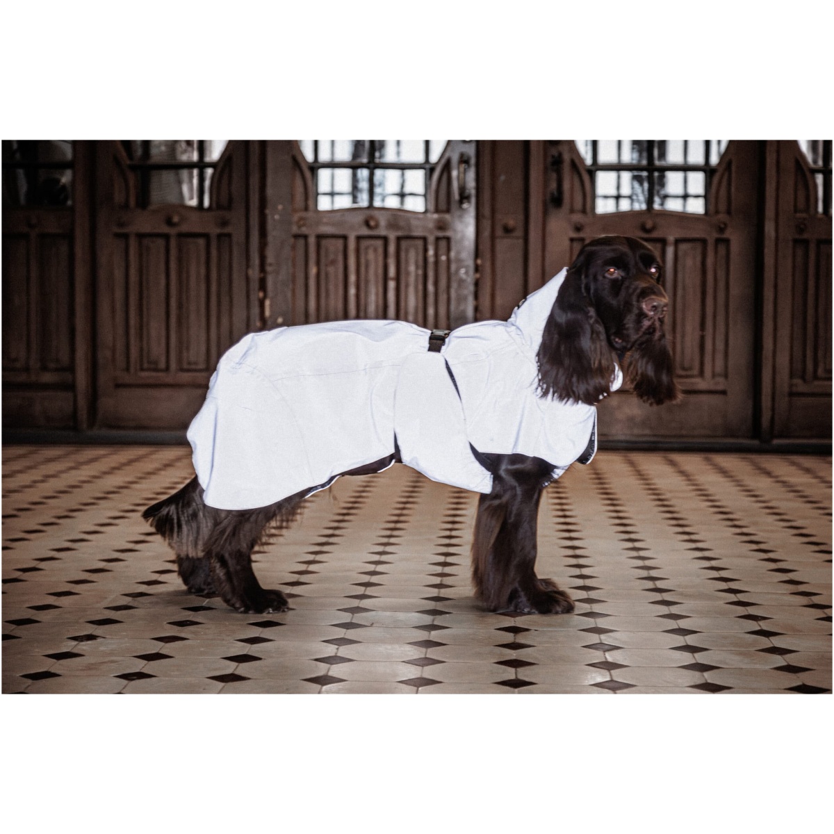 Paikka Visibility Rain Jacket, Taupe - Image 12